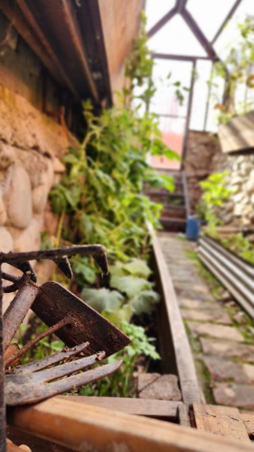 Hotel Lunajuim El Chalten Dış mekan fotoğraf