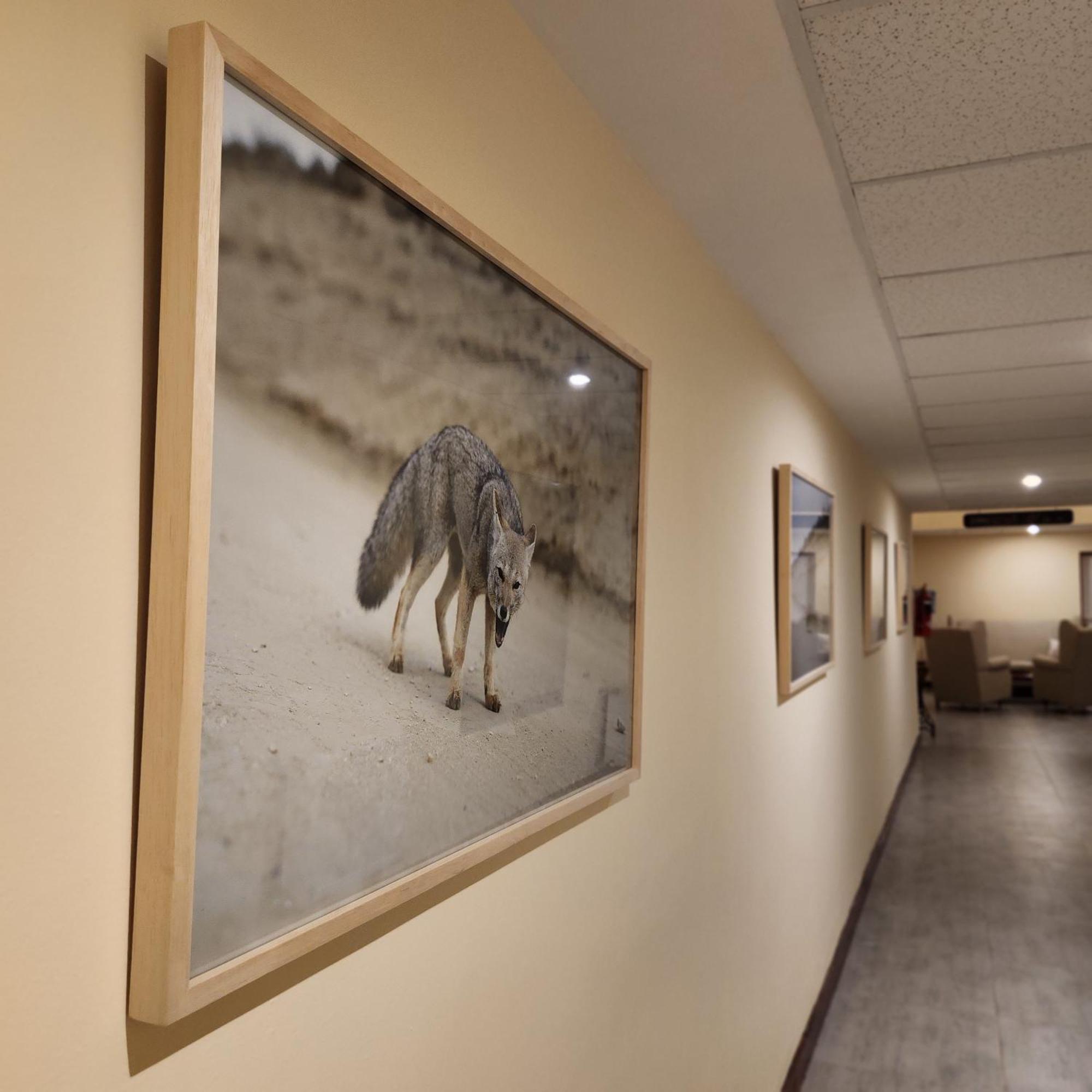 Hotel Lunajuim El Chalten Dış mekan fotoğraf